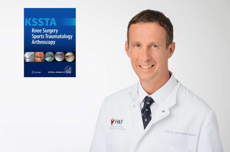 Prof. Siebold KSSTA Studie Kneorpelzell